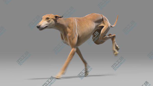 images/goods_img/20210312/3D Greyhound Animated/4.jpg